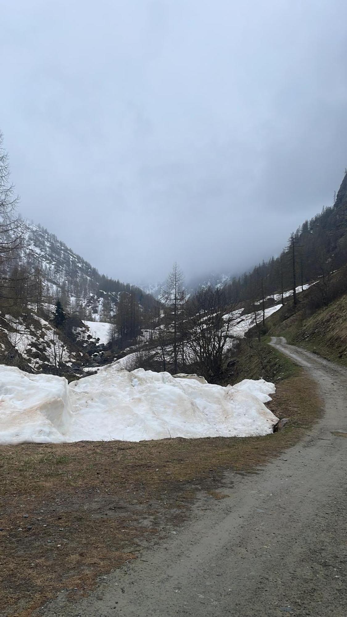 Laghi Di Como Appartamento Di Licinia E Mario Asso Экстерьер фото